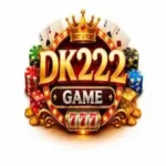 DK222 Game icon